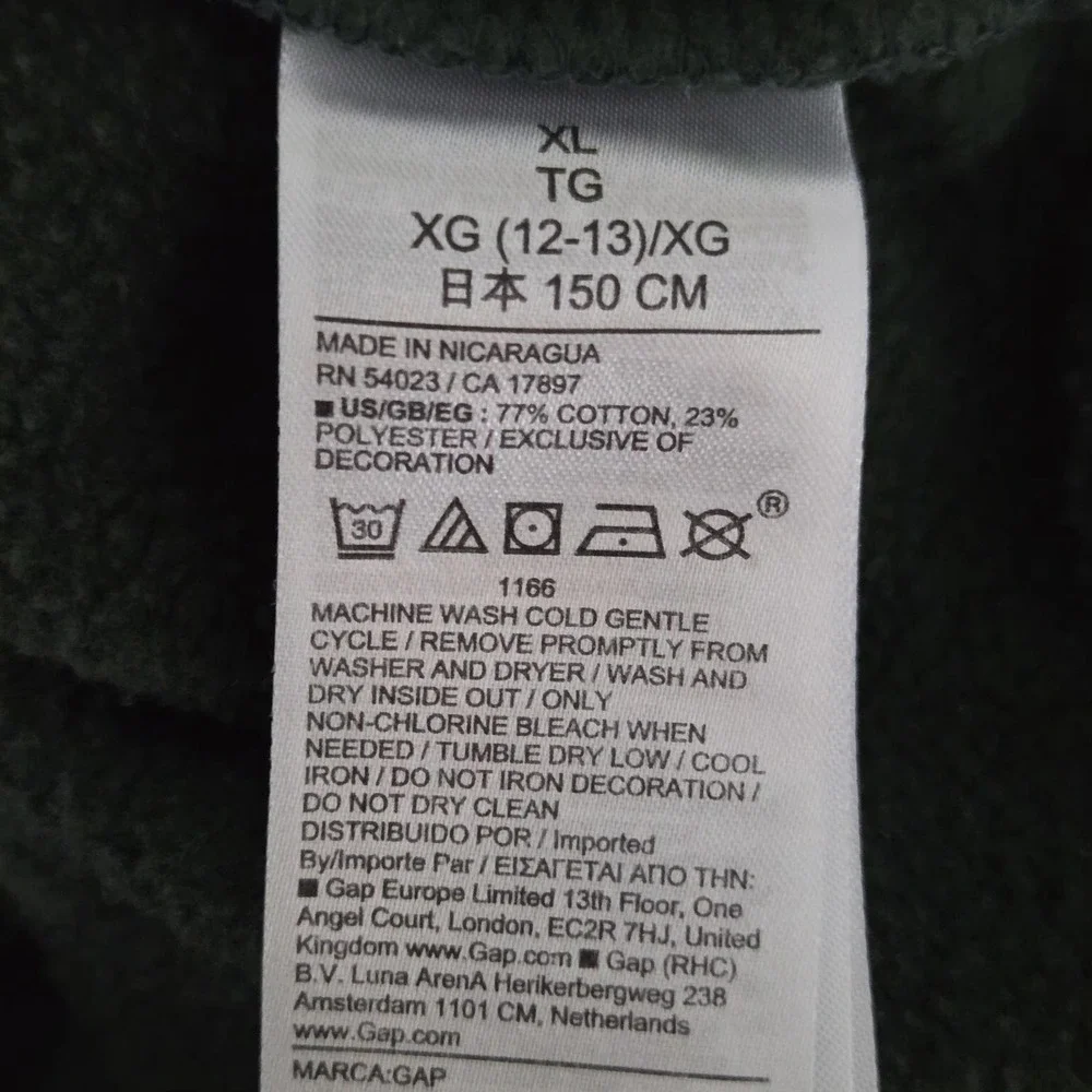 Gap Hoodie Kids XL 12-13 Green Colorblock GAP Logo Fleece Pullover Sweatshirt